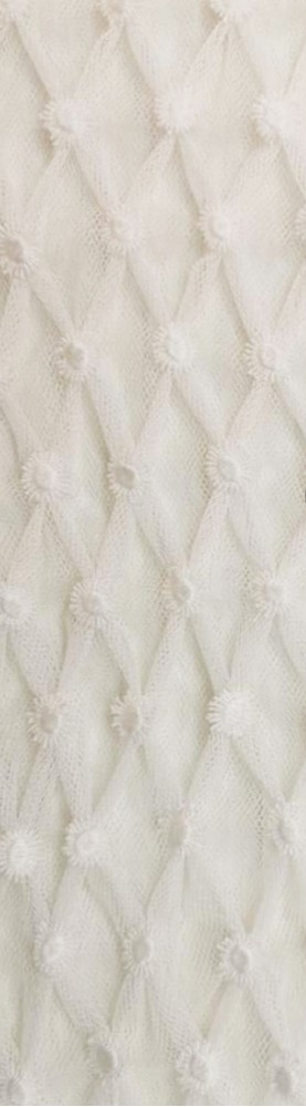 Textura de encaje blanco